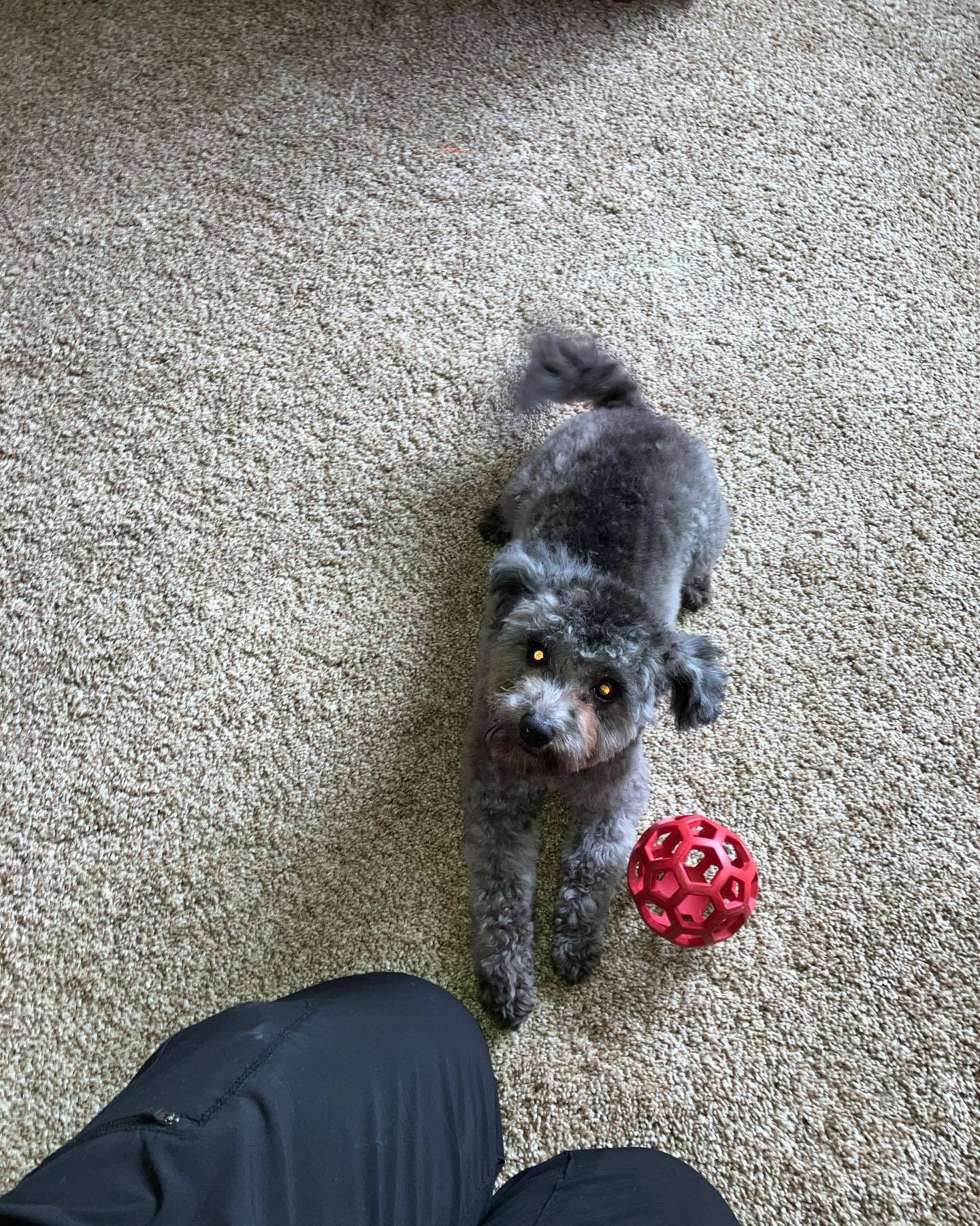 4/21/23 Bear