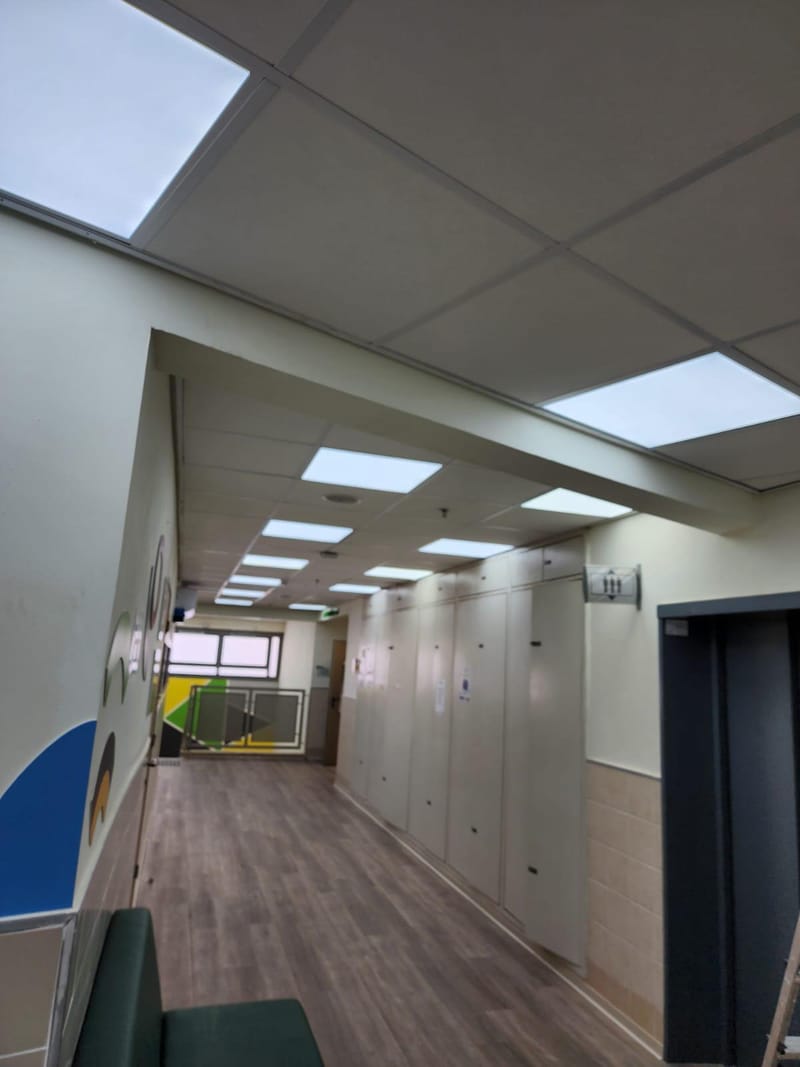 תקרה אקוסטית + ג"ת 