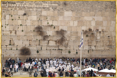 בונים את הכותל המערבי