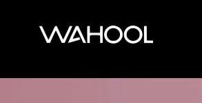 Wahool Storefront