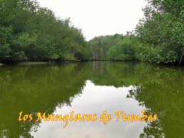 SANTUARIO NACIONAL DE LOS MANGLARES DE TUMBES