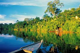 PARQUE NACIONAL DEL MANU