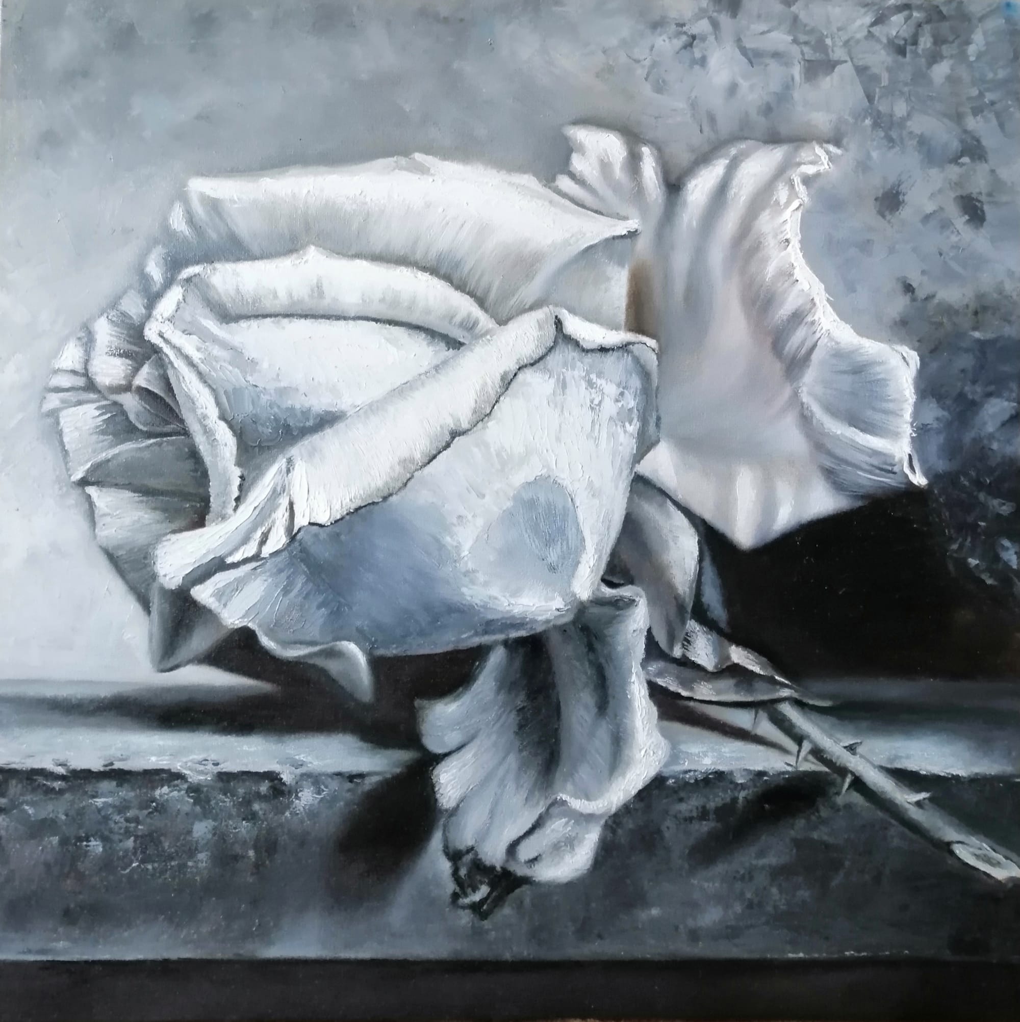 Monochrome rose on a stone