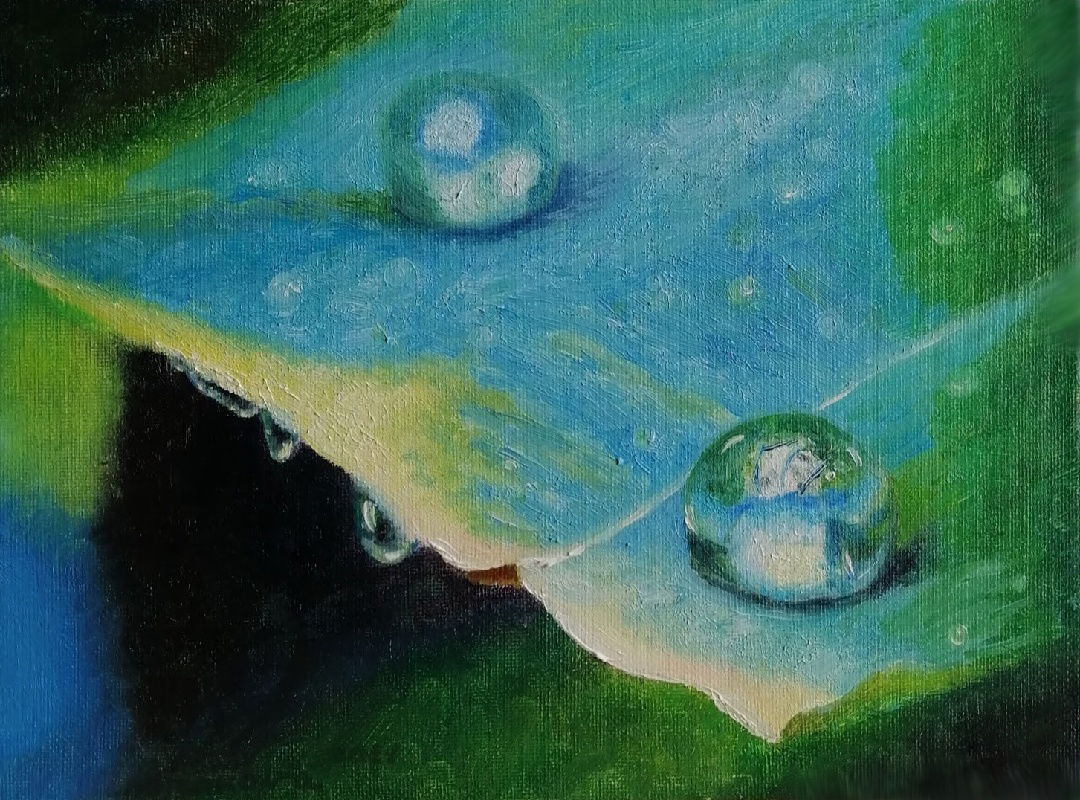 Morning dewdrops