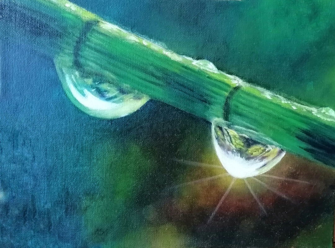 Drops after rain