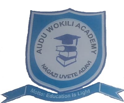 Audu Wokili  Academy