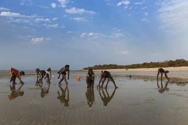 Guiné-Bissau