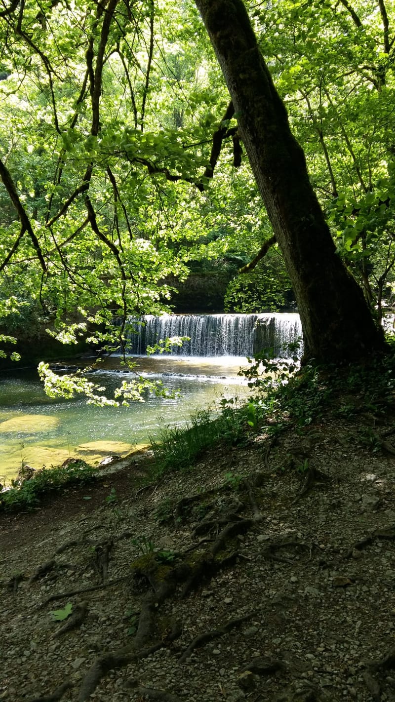 LA MAGIE DE L'AREUSE - 2022