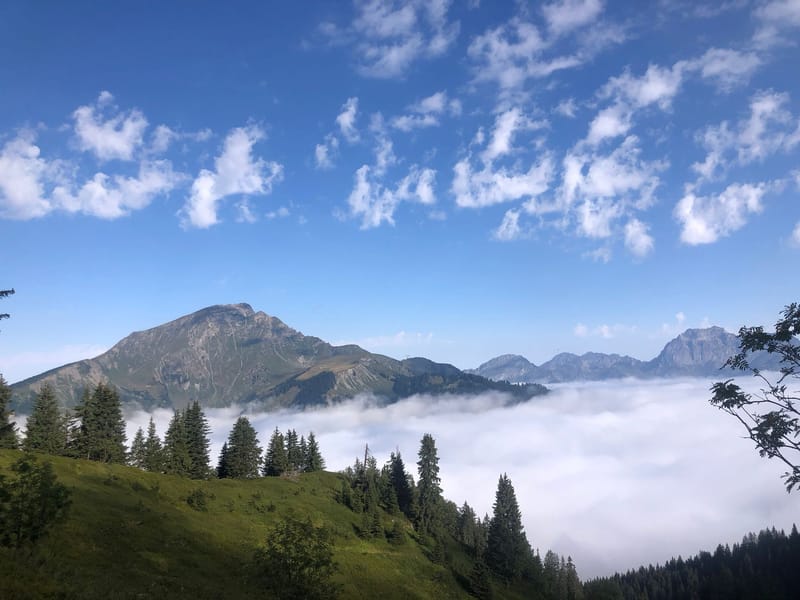 SUR LES HAUTS DE FECON - 2022