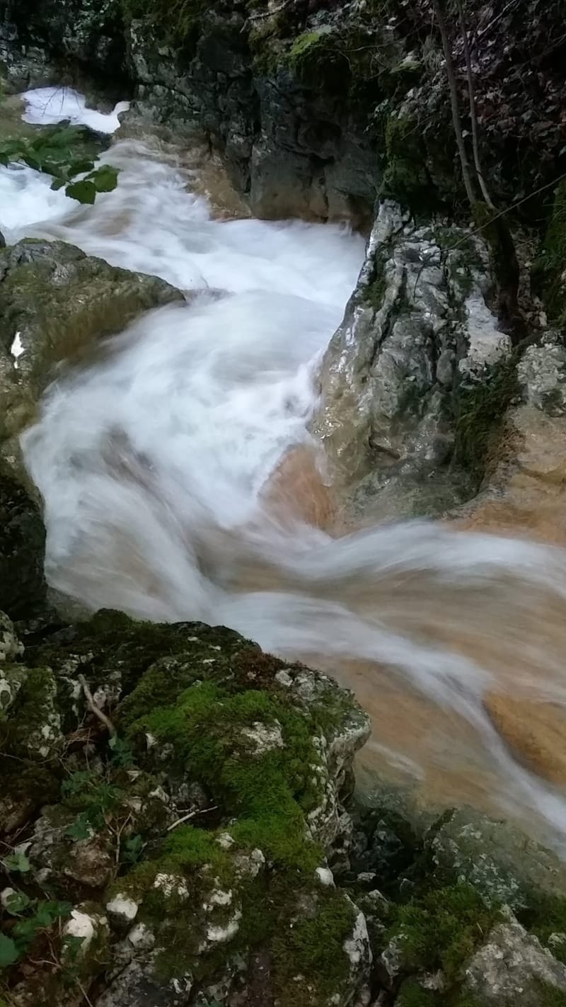DE L'AUBE AU CREPUSCULE, A LA RENCONTRE DU VIVANT - 2023
