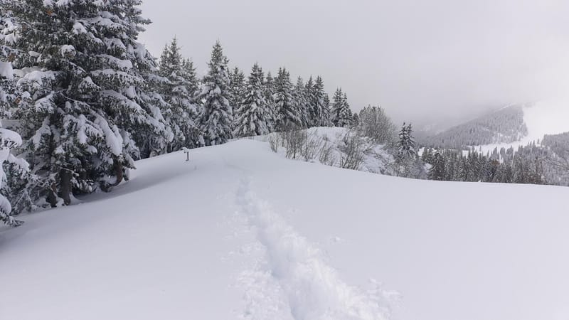 LA DENT DE VAULION EN HIVERNAL - 2024