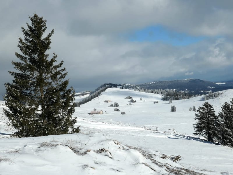 SUR LE SOMMET DU CANTON DE NEUCHATEL - 2024