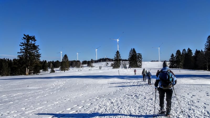 DU MONT CROSIN AU MONT SOLEIL, EN RAQUETTES A LA RENCONTRE D’EOLE - 2024