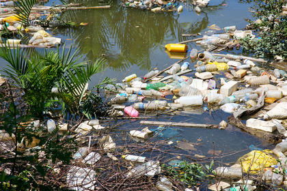 Las consecuencias de la contaminación