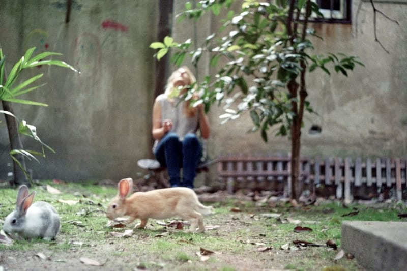 Unresolved Grief - Hidden Losses of a Third Culture Kid