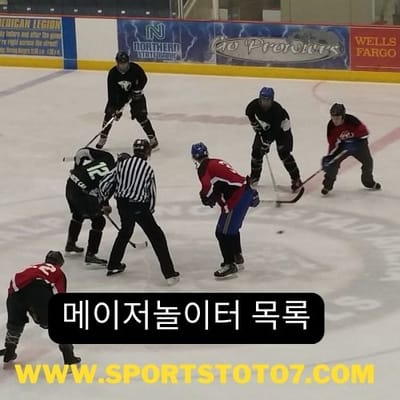 NHL East Division Preview, Odds and Predictions