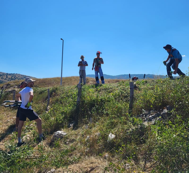 Očišćena bankina i raslinje uz cestu