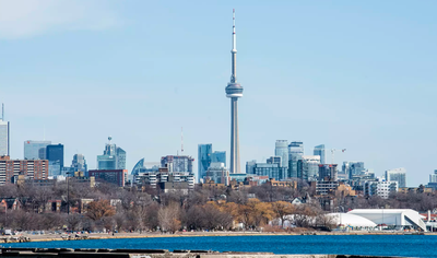 10 unique and unusual volunteer opportunities in Toronto right now