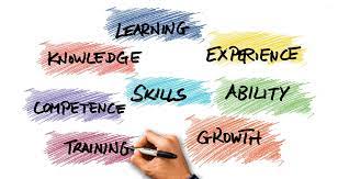 Expertise Across Various Areas