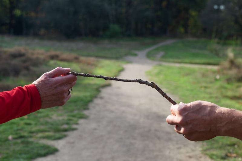 Ervaringsgerichte werkvormen in de buitenlucht