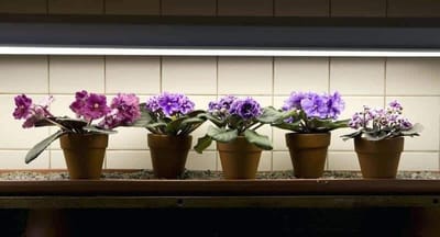 Выбор освещения