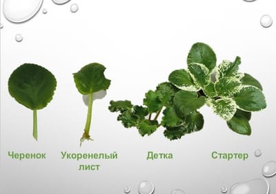 Оплата и Доставка image