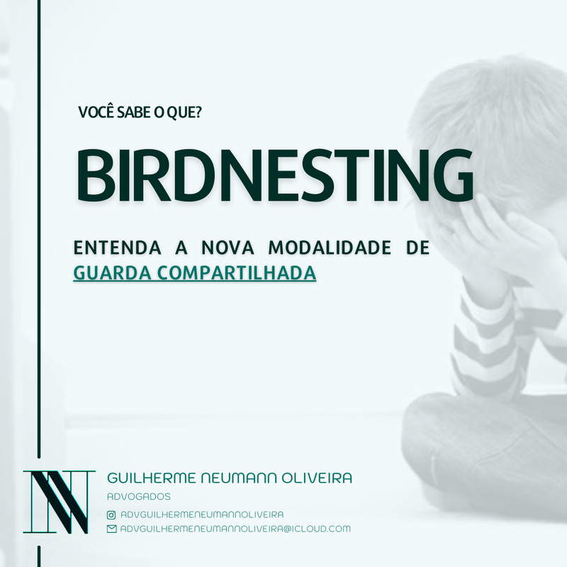JÁ OUVIU FALAR EM BIRDNESTING? ENTENDA A NOVA MODALIDADE DE GUARDA COMPARTILHADA