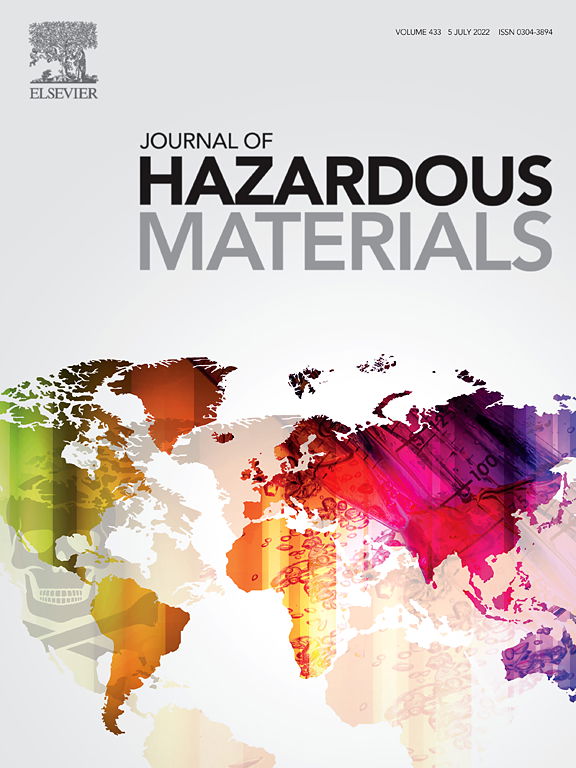 Rhizobium rhizogenes-mediated root proliferation in Cd/Znhyperaccumulator Sedum alfredii and its effects on plant growth promotion,root exudates and metal uptake efficiency