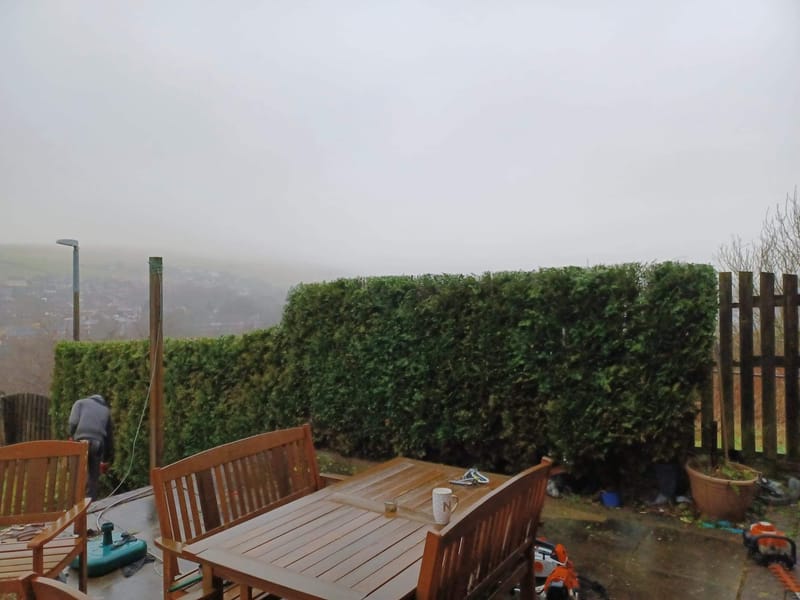 Hedge clearing &amp; trimming