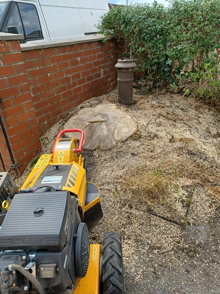 Stump Grinding