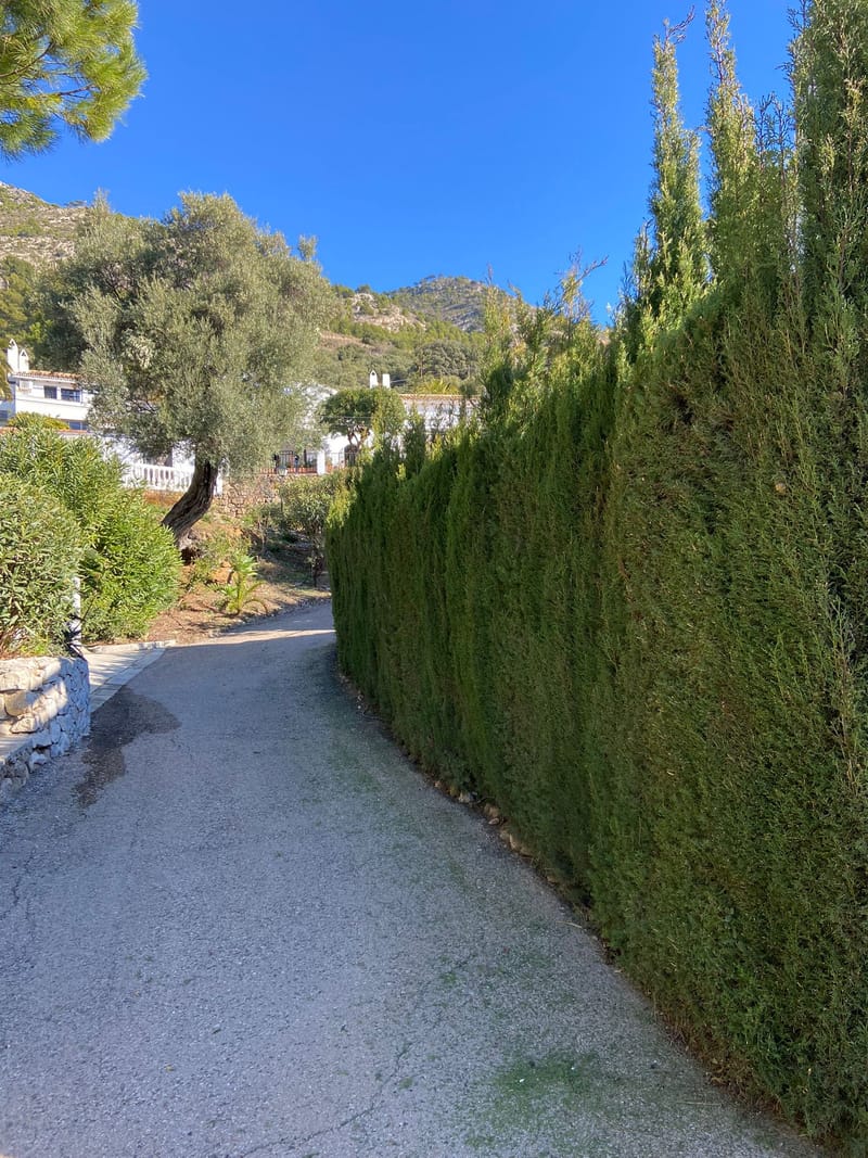 Maintenance update January 2023