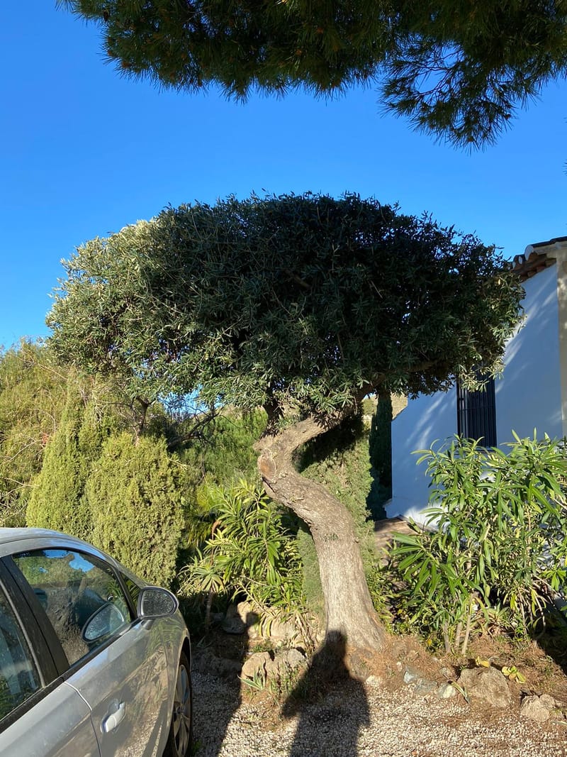 Maintenance update April 2023