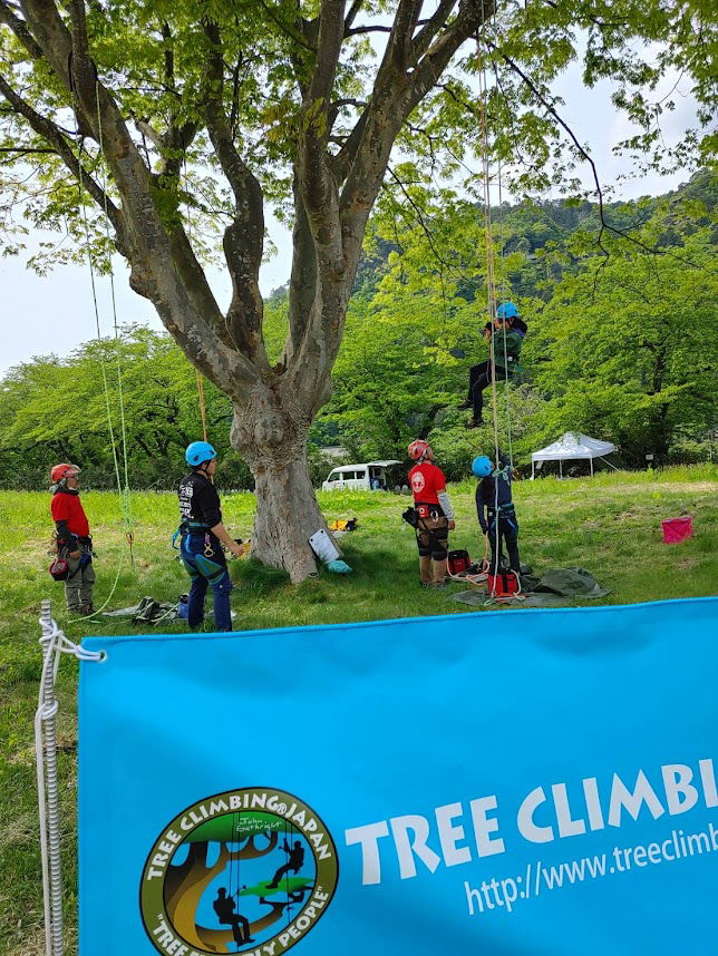 MRS1ベーシックツリークライマー募集