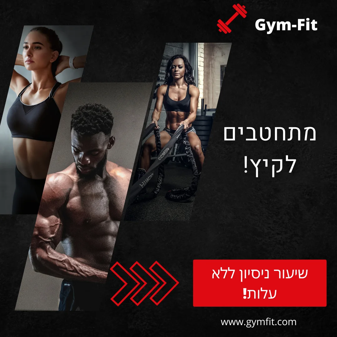 עיצובים במדיות