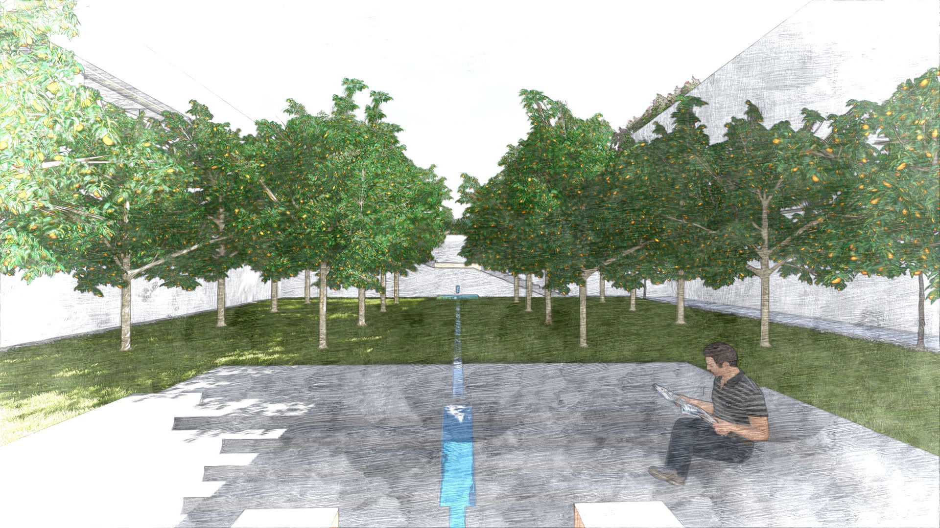 Abu Dhabi — Villa Landscape Design