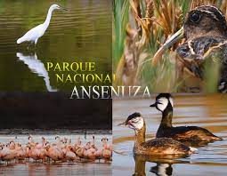 PARQUE NACIONAL ANSENUZA