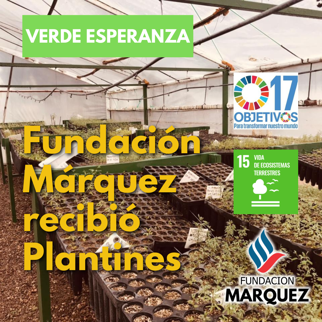 "Verde Esperanza: Fundación Márquez recibió Plantines"