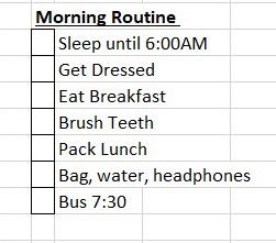 Executive Functioning Coach