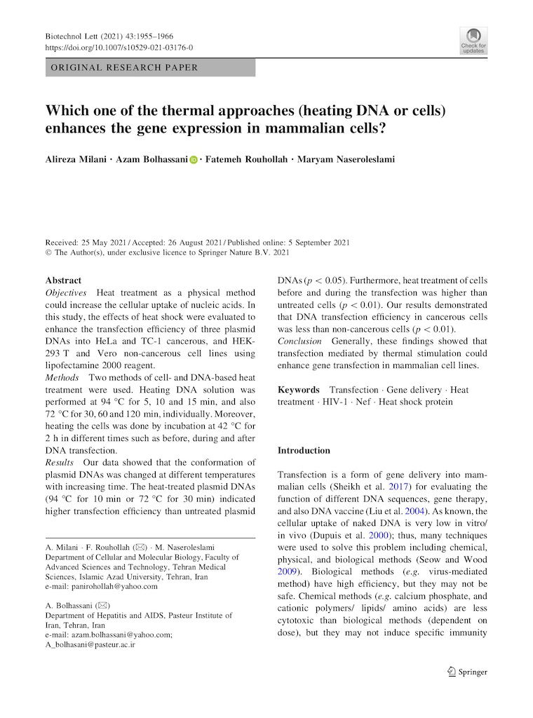 Which one of the thermal approaches (heating DNA or cells) enhances the gene expression in mammalian cells?