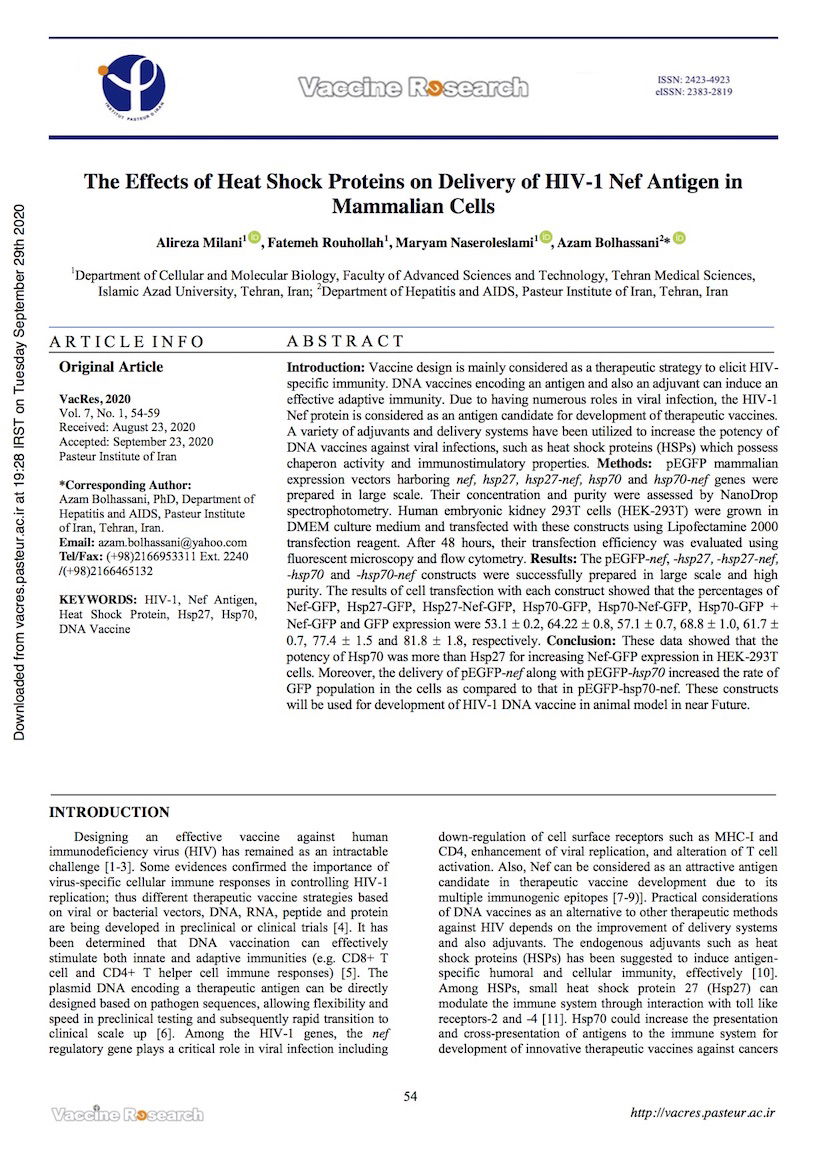 The Effects of Heat Shock Proteins on Delivery of HIV-1 Nef Antigen in Mammalian Cells