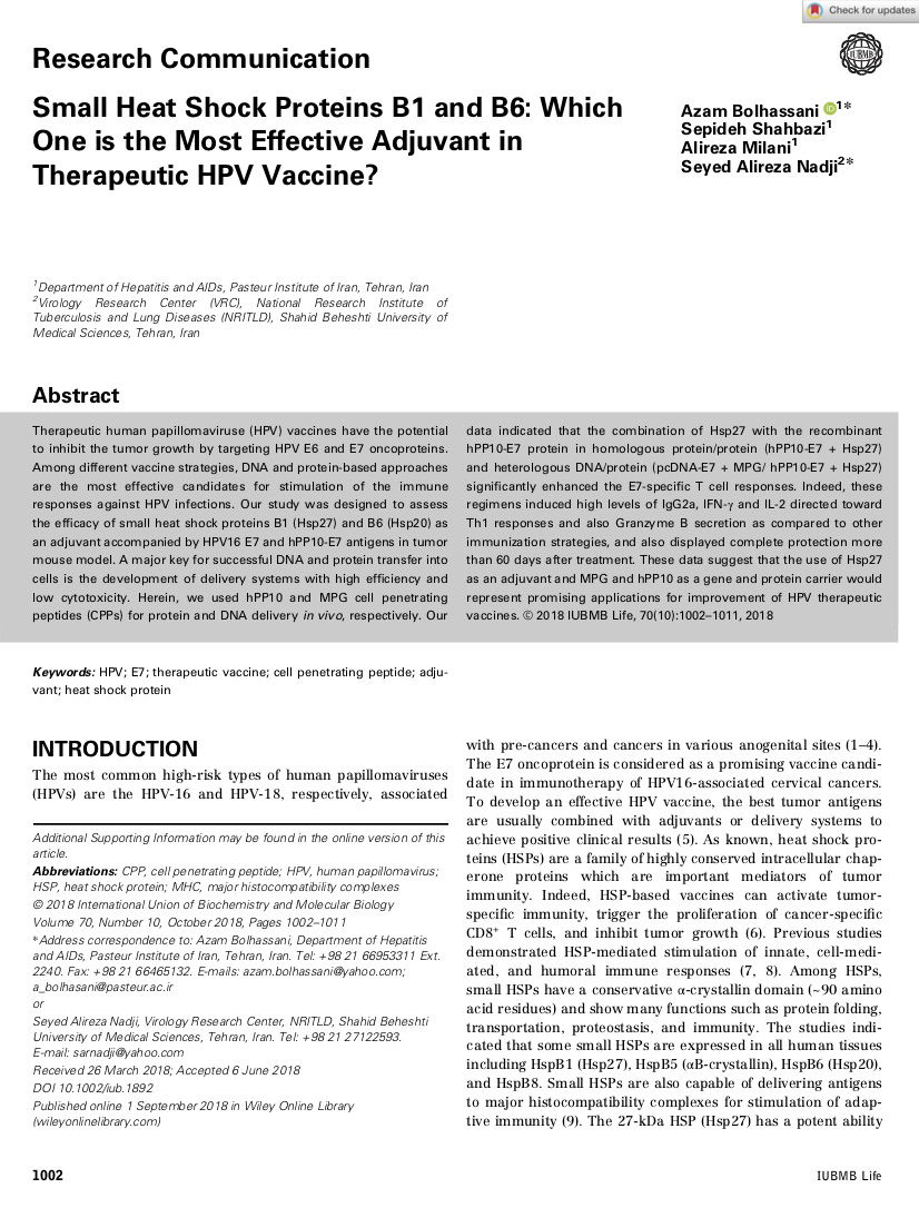 Small Heat Shock Proteins B1 and B6: Which One is the Most Effective Adjuvant in Therapeutic HPV Vaccine?