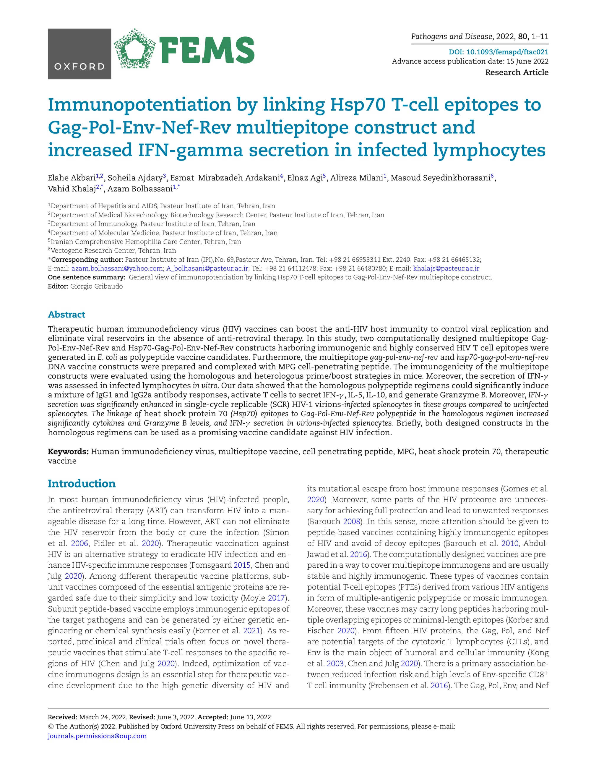 Immunopotentiation by linking Hsp70 T-cell epitopes to Gag-Pol-Env-Nef-Rev multiepitope construct and increased IFN-gamma secretion in infected lymphocytes