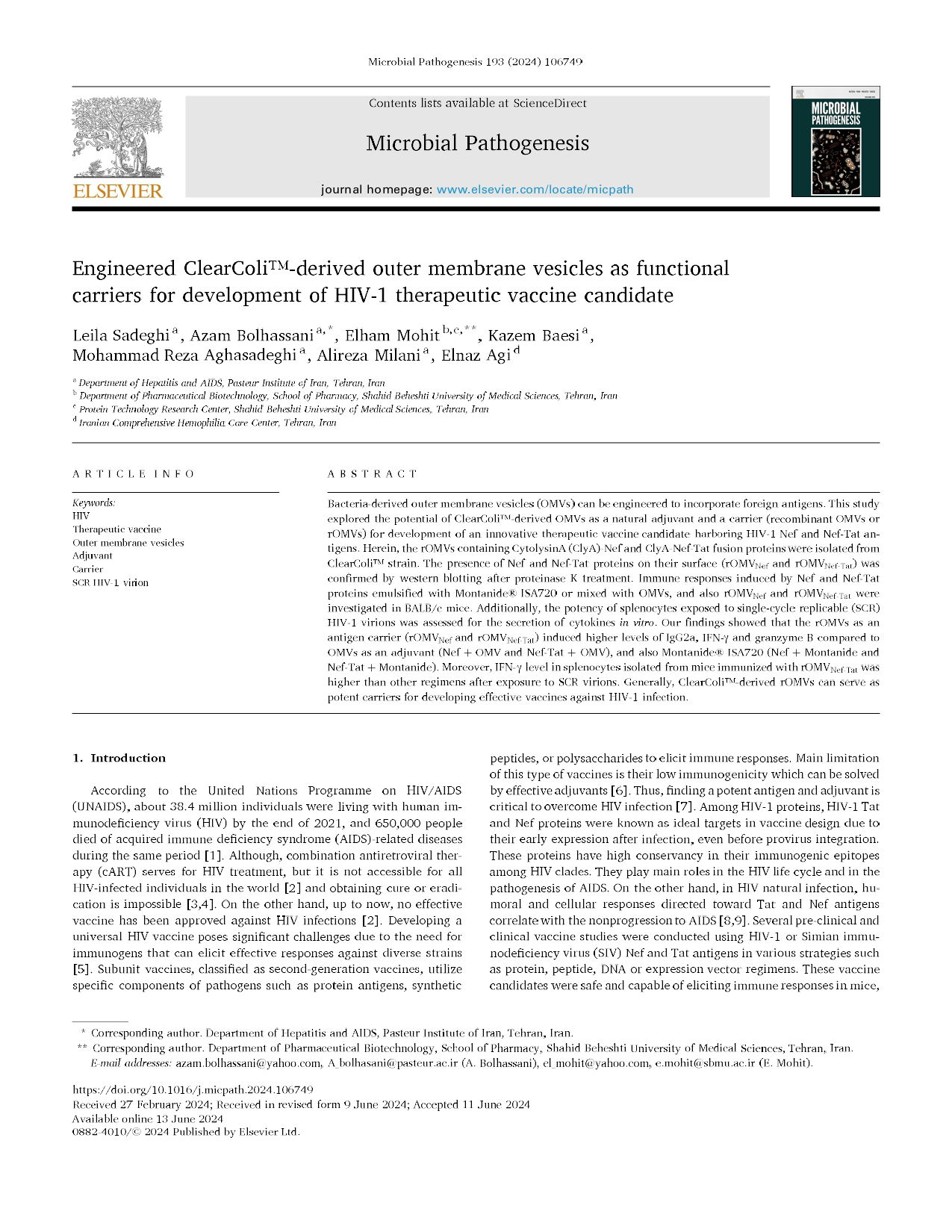 Engineered ClearColi™-derived outer membrane vesicles as functional
carriers for development of HIV-1 therapeutic vaccine candidate