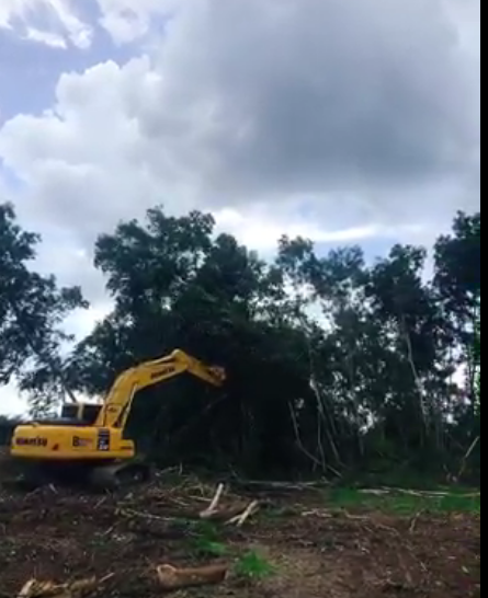 งานรื้อ/งานตีป่า