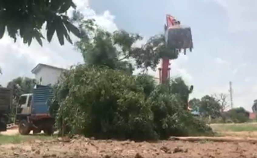 งานรื้อ/งานตีป่า