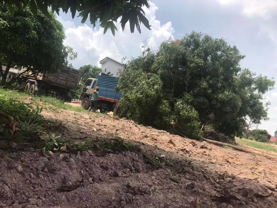 งานรื้อ/งานตีป่า