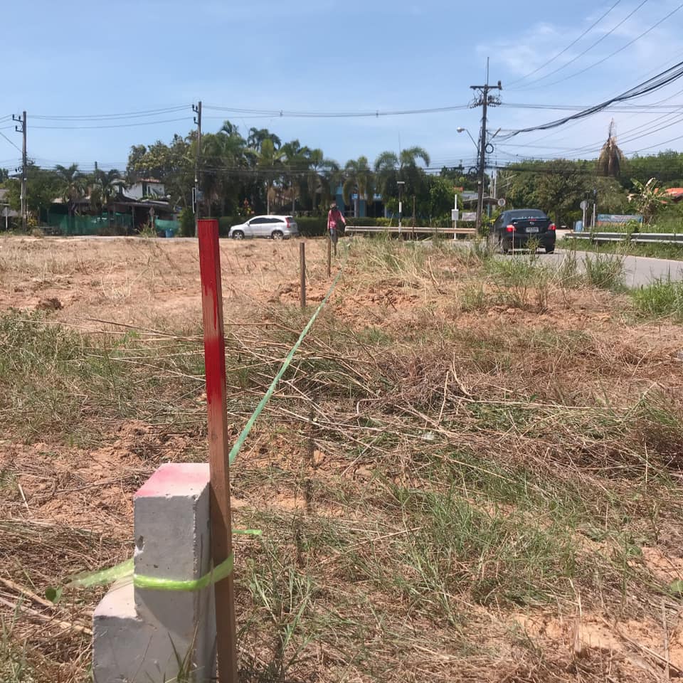 เซอร์เวย์