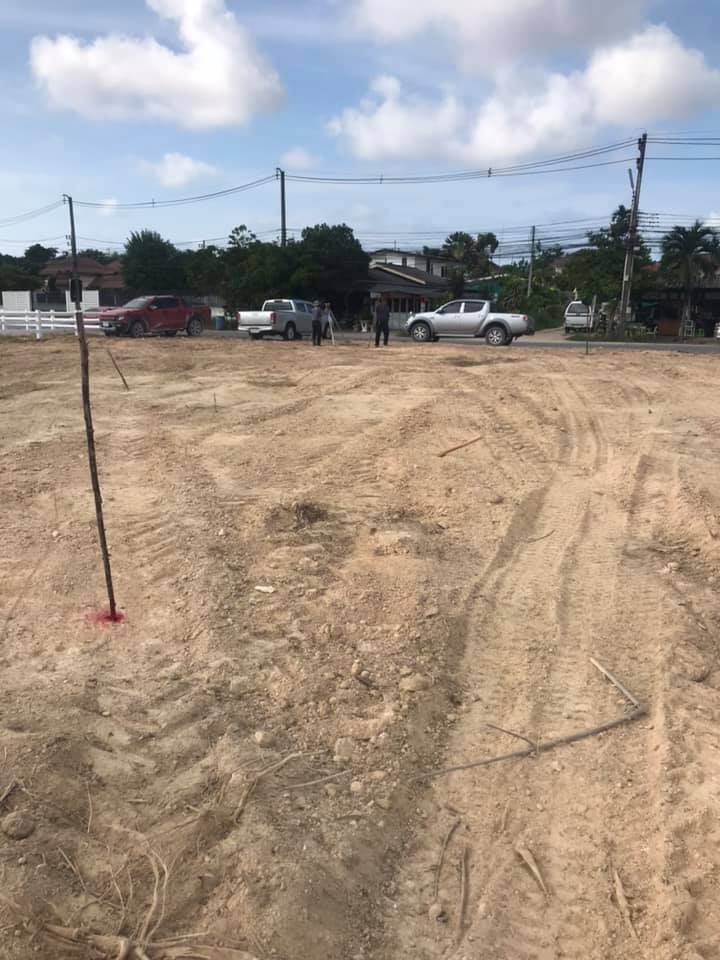 เซอร์เวย์