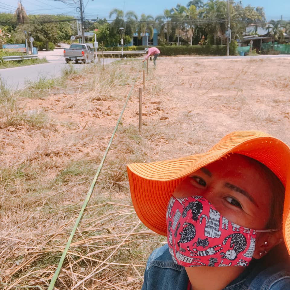 เซอร์เวย์