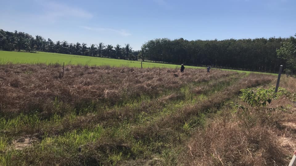 เซอร์เวย์